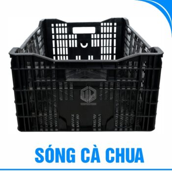 Sóng cà chua-3