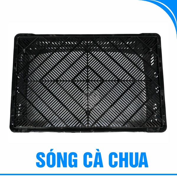 Sóng cà chua-4