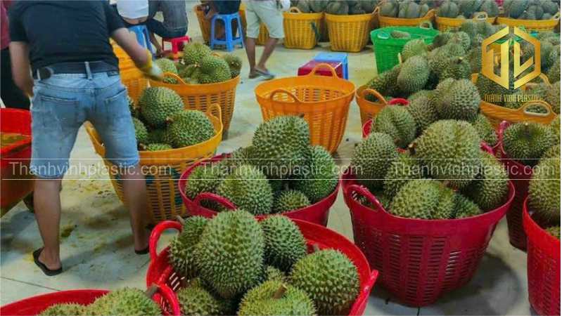 c?n xé kh? n?ng ch?u t?i cao