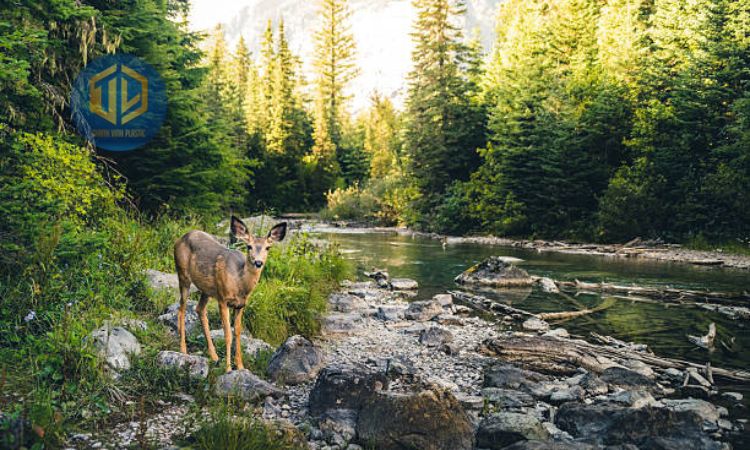 M?i tr??ng t? nhiên