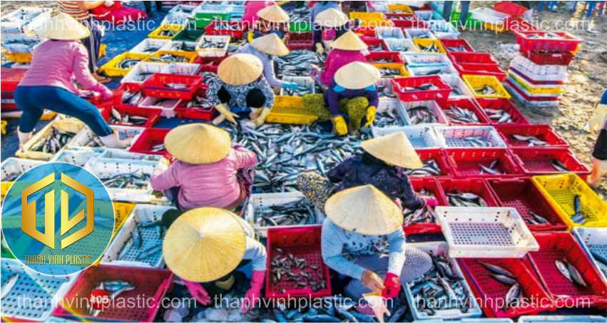 sóng cá áp d?ng trong vi?c phan lo?i cá