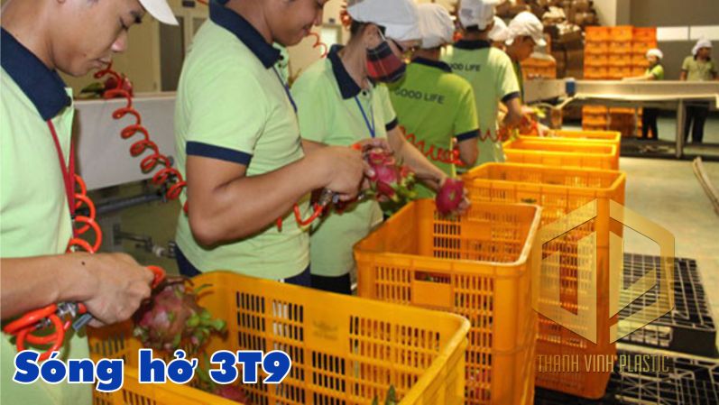 song h? 3t9 trong s?n xu?t