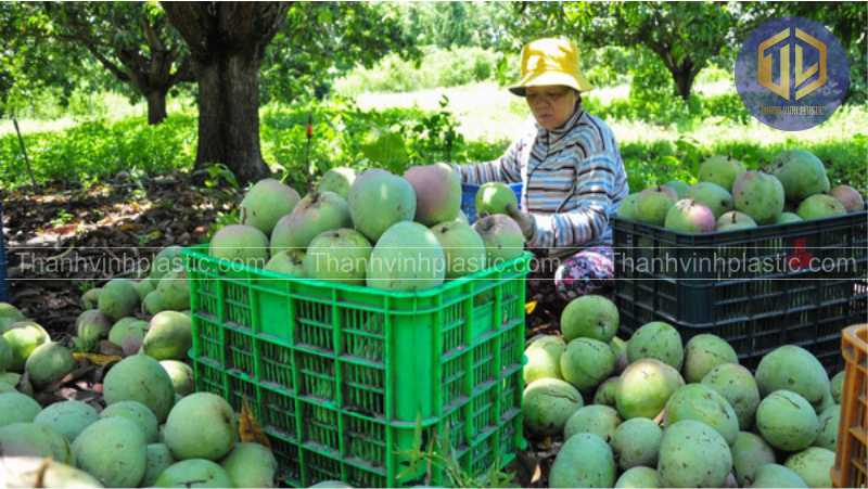 sóng nh?a 4t5 trong thu ho?ch n?ng s?n