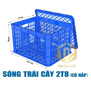 song trai cay 2t8 co nap duong
