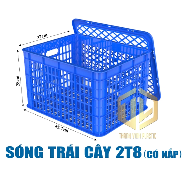 song trai cay 2t8 co nap duong