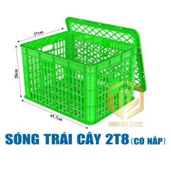 song trai cay 2t8 co nap la