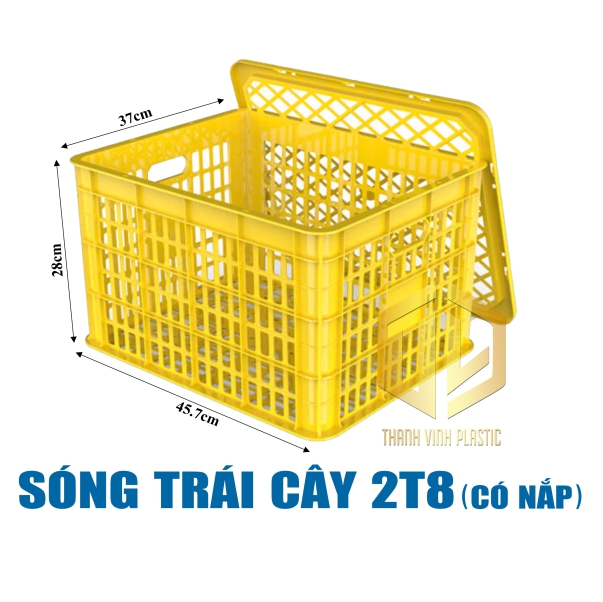 song trai cay 2t8 co nap vang