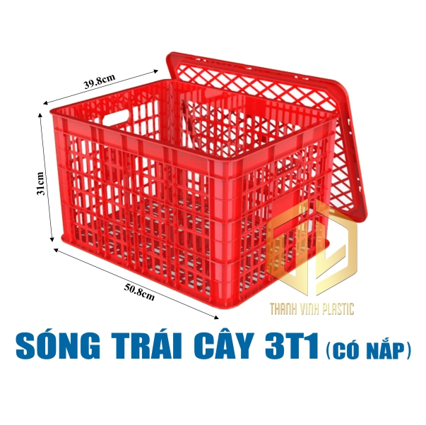 song trai cay 3t1 co nap do