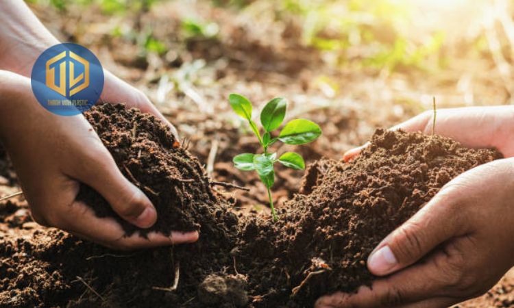 Tham gia các ho?t ??ng tr?ng cay xanh