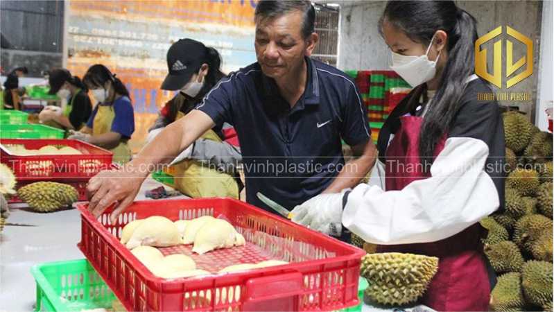 màng lót khay ch?ng dính khi c?p ??ng