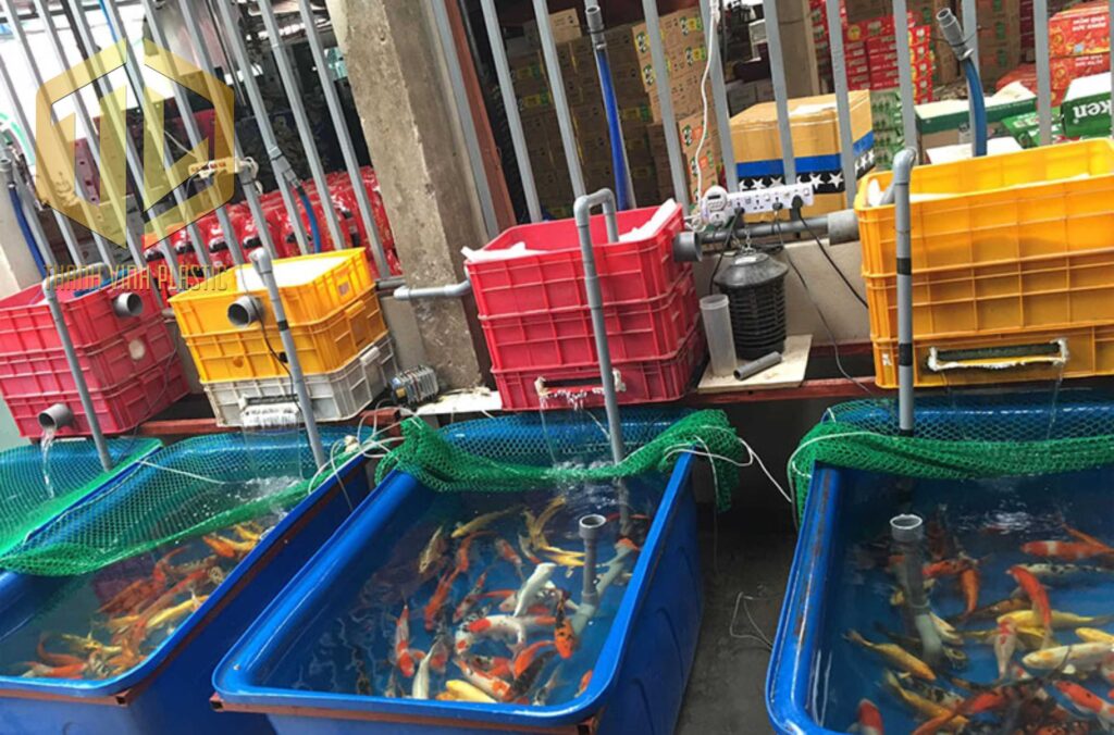 thùng ch? nh?t nu?i cá Koi