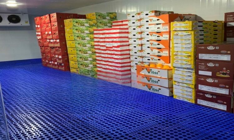 C?ng d?ng ?a d?ng c?a pallet nh?a kh?ng chan