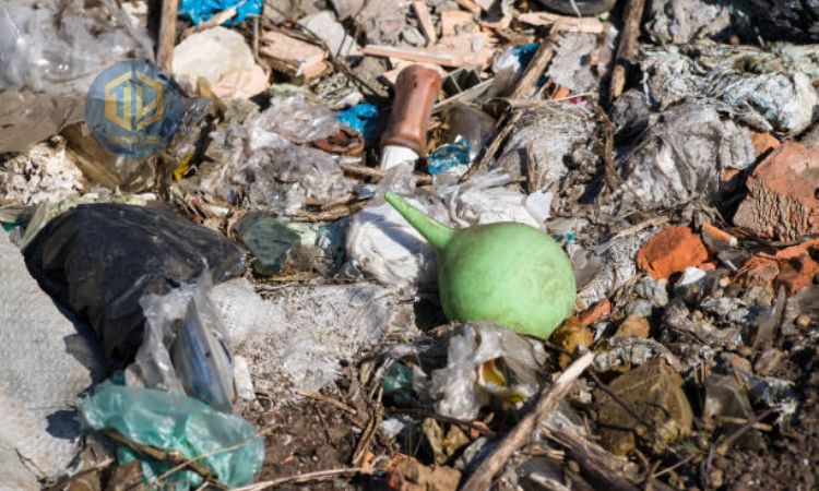 Tác h?i c?a túi nilon ??i v?i m?i tr??ng