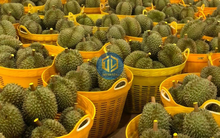 cach-van-chuyen-sau-rieng-2