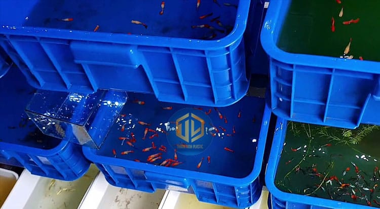 thung-nhua-nuoi-ca-canh-2