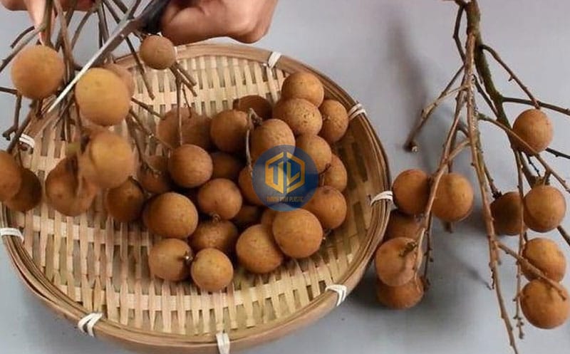 cach-bao-quan-nhan-tuoi-lau-4