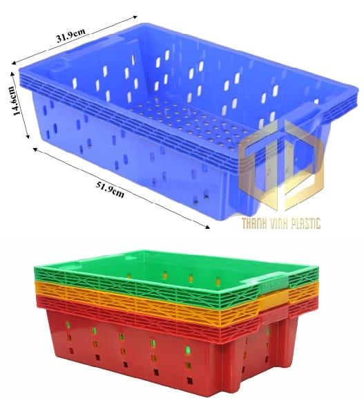 K?t cá t?i Nha Trang, Khánh Hòa