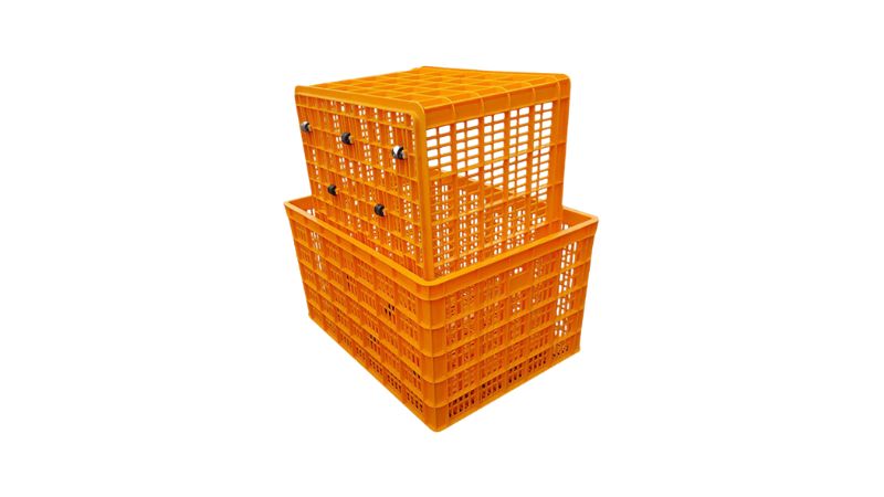 ro-nhua-vuong-dung-hang-2