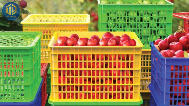 gio-nhua-dung-trai-cay-2