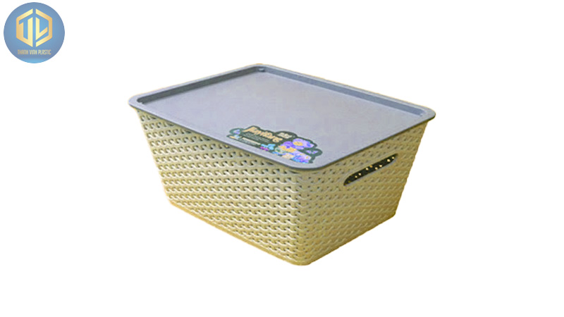 mau-ro-nhua-co-nap-day-2