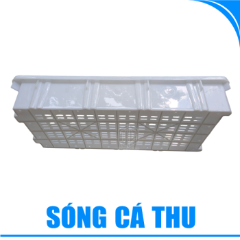 Sóng cá thu-1