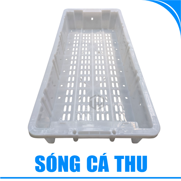 Sóng cá thu-2
