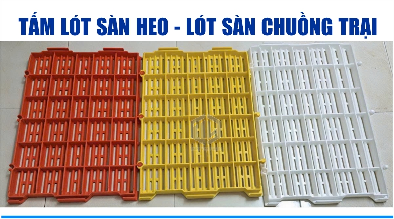 T?m lót sàn chu?ng heo - màu s?c ?a d?ng