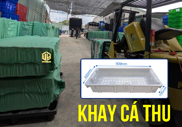 C?ng Ty S?n Xu?t Khay Cá Thu Giá R?