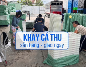 Khay Cá Thu