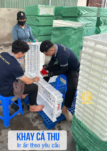 Khay cá thu - in tên theo yêu c?u