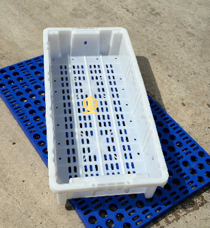 ?ng d?ng khay cá thu