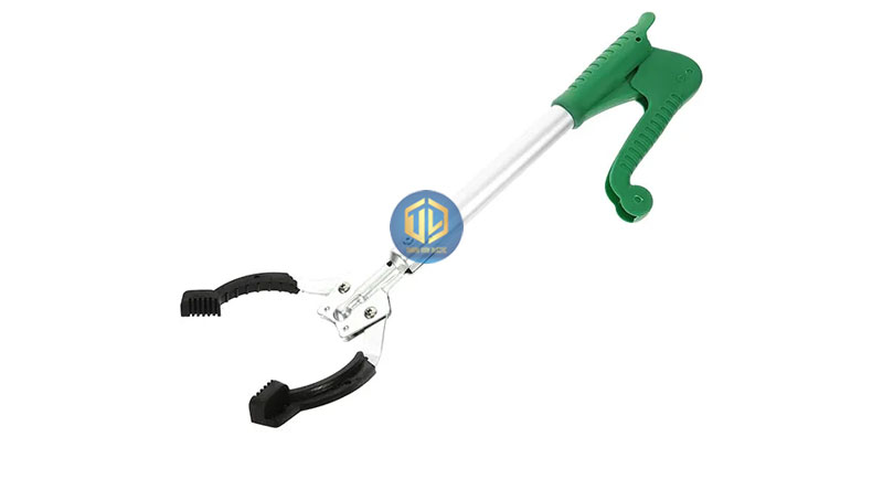 6 lo?i d?ng c?, ?? g?p rác ph? bi?n, ???c ?a chu?ng nh?t hi?n nay